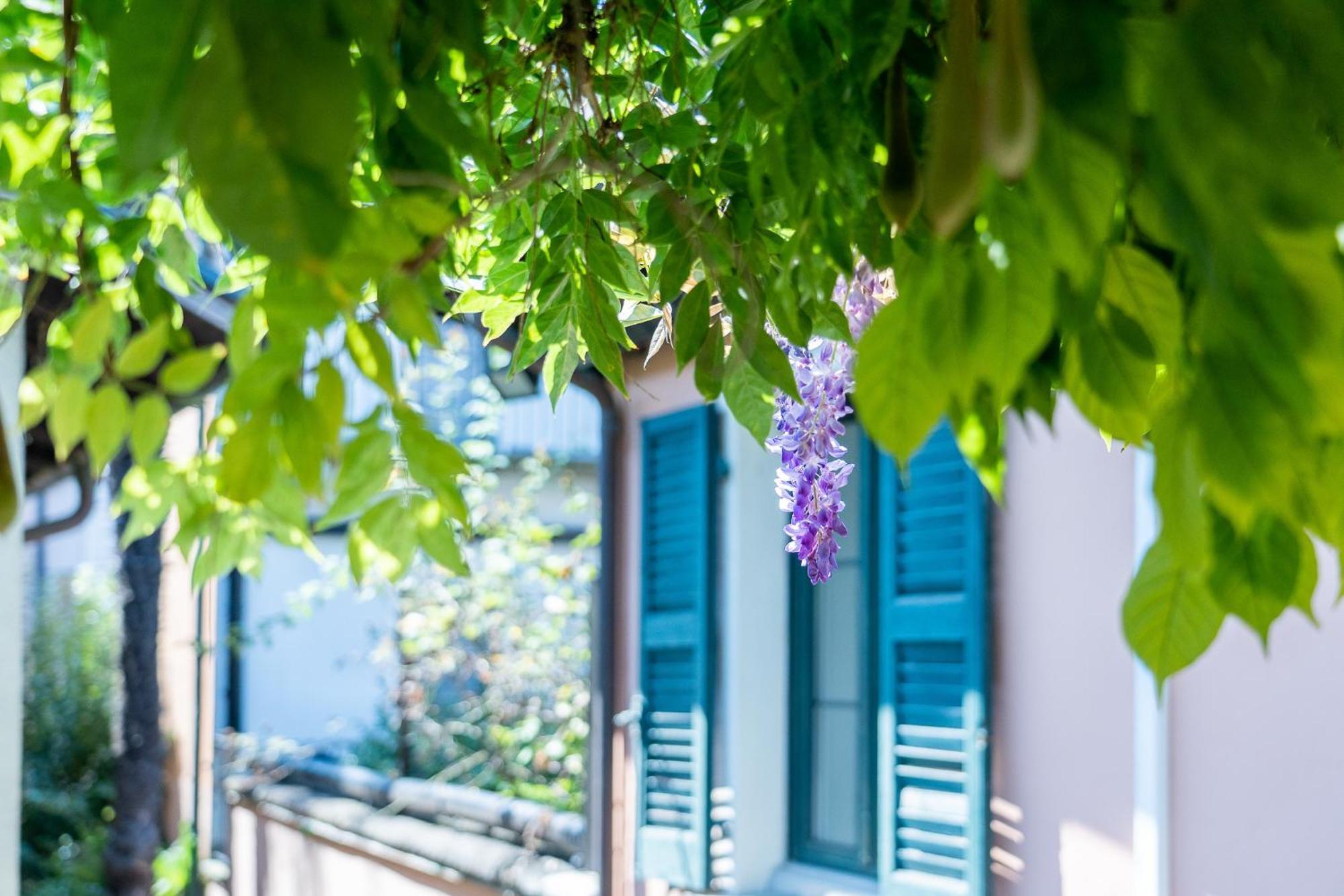 Seven Boutique Hotel Ascona Buitenkant foto